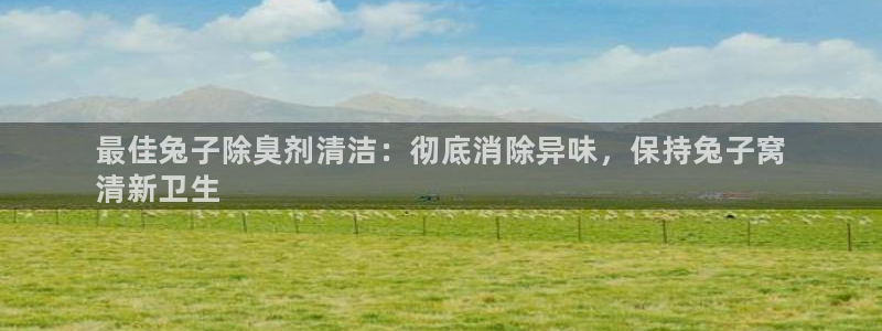 尊龙凯时app官方网站：最佳兔子除臭剂清洁：彻底消除异味