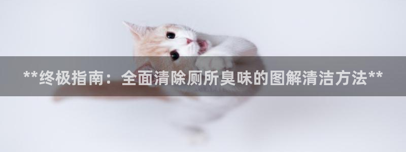尊龙登录会员登录：**终极指南：全面清除厕所臭味的图解清