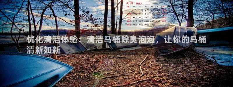 尊龙Ag：优化清洁体