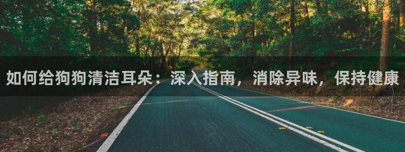 尊龙凯时人生就是搏首