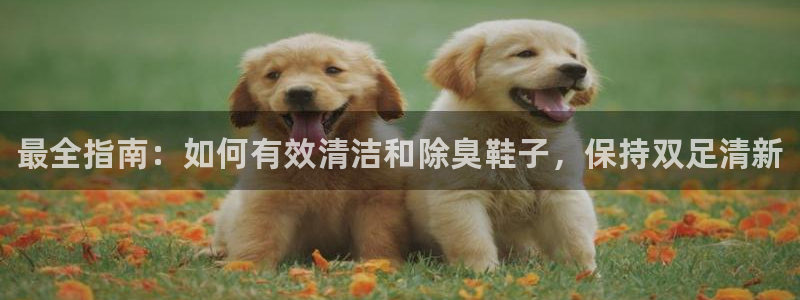 尊龙凯时为什么不封