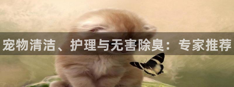 凯时尊龙app国际官方网站