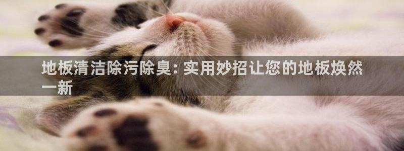 尊龙ktv怎么样：地板清洁除污除臭: 实用妙招让您的地板